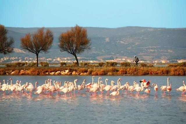Appart Beziers Plage Εξωτερικό φωτογραφία